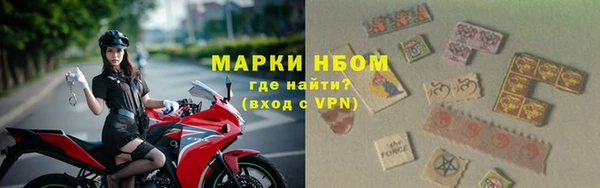 хмурый Каменка