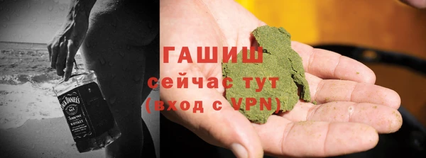 хмурый Каменка