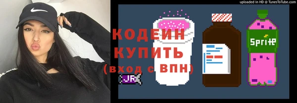 хмурый Каменка