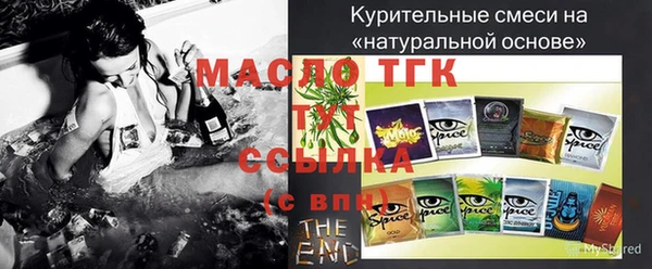 хмурый Каменка