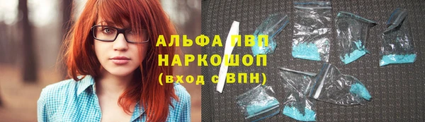 хмурый Каменка
